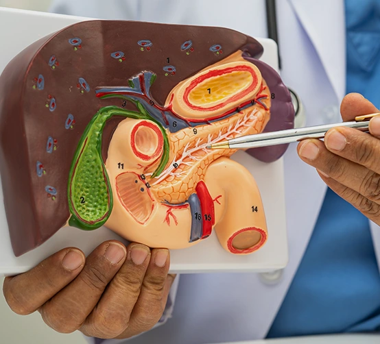 PancreaticCancer_img02