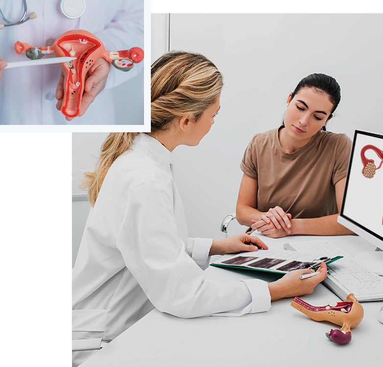 UterineEndometrialCancer_img01