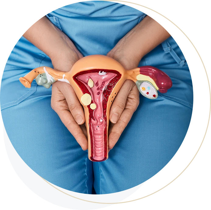 UterineEndometrialCancer_img05